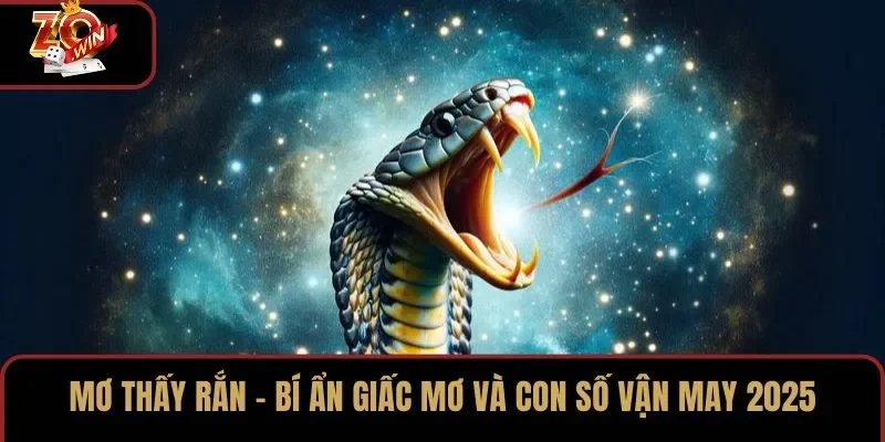 Mơ Thấy Rắn – Bí Ẩn Giấc Mơ Và Con Số Vận May 2025